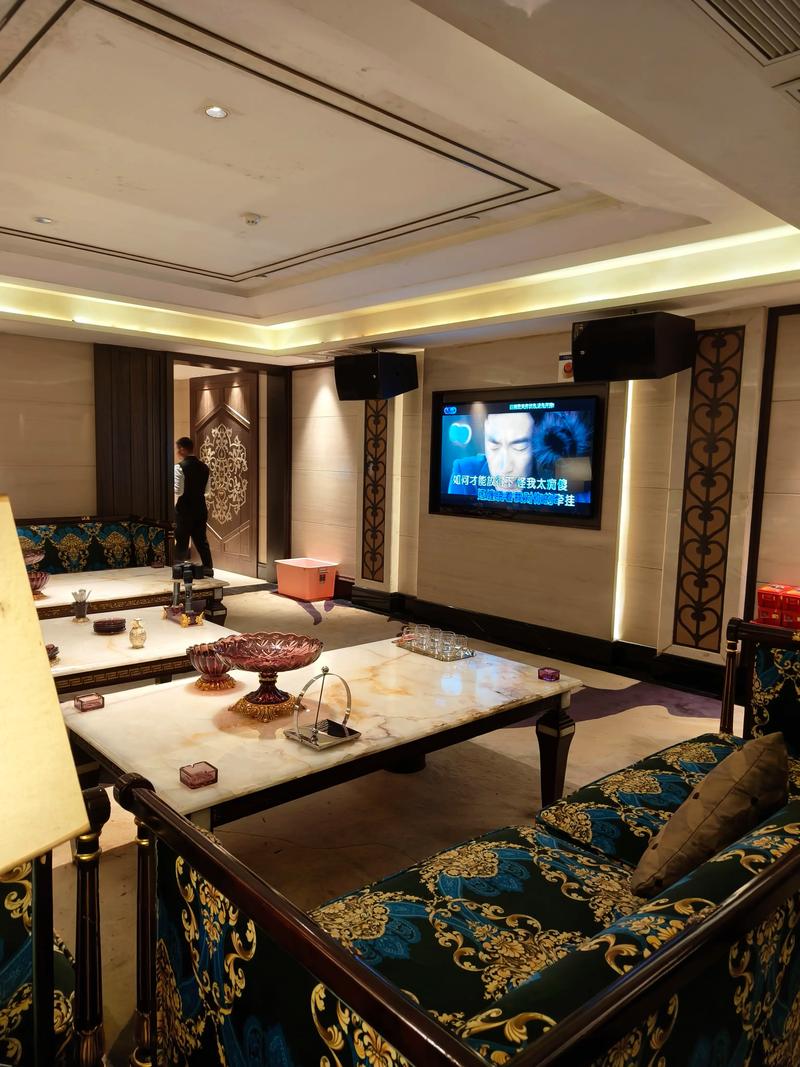 北京商务ktv畅玩多样商务ktv玩法-西城区ktv预订